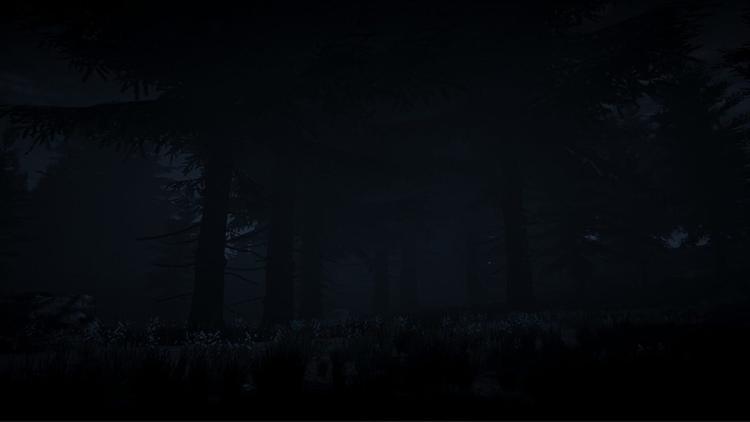 Dark Survival