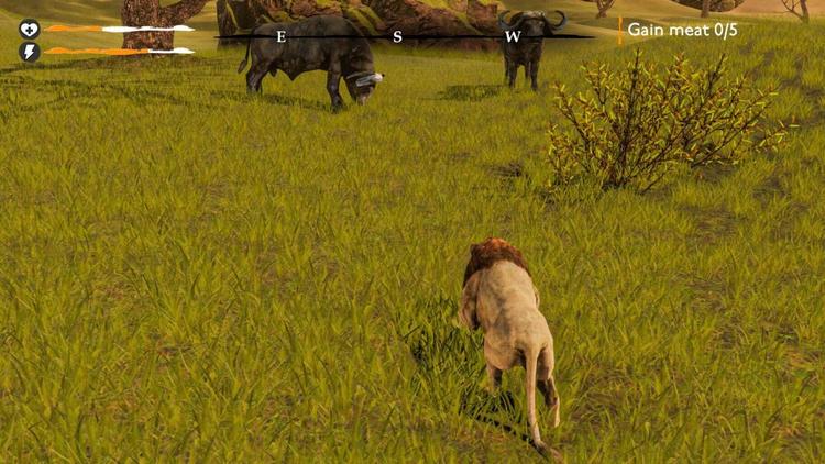 Lion Simulator Survival: RPG Animal Battle