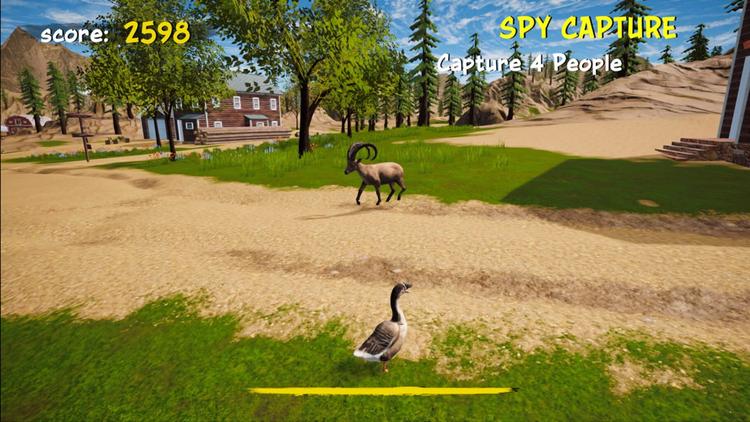 Crazy Goose Simulator